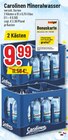 Mineralwasser bei Trinkgut im Schloß Holte-Stukenbrock Prospekt für 9,99 €