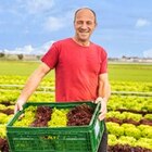 Kopfsalat bei Kaufland im Prospekt "" für 0,79 €