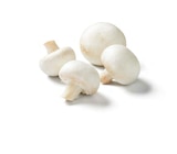 Weiße Kulturchampignons für 1,79 € bei Lidl im Angebot Weiße Kulturchampignons im aktuellen Lidl Prospekt