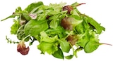 REWE Wesel - Wildkräuter Salat Angebot im Prospekt Wildkräuter Salat bei REWE im Wesel Prospekt für 1,19 €