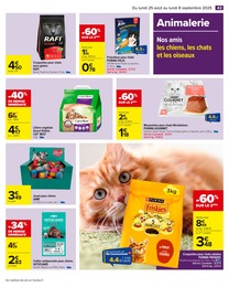 Offre Litière dans le catalogue Carrefour du moment à la page 45