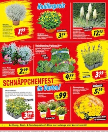 Aktueller Repo Lübbenau (Spreewald) Prospekt Repo Prospekt Lübbenau (Spreewald) "Aktuelle Angebote" mit 16 Seiten