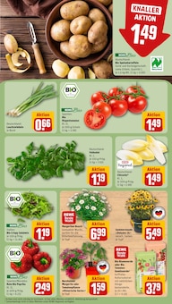 Blumenerde im REWE Prospekt "Dein Markt" mit 30 Seiten (Erfurt)