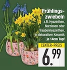 Frühlingszwiebeln bei EDEKA im Pleinfeld Prospekt für 6,99 €