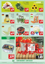 Blumen im Marktkauf Prospekt in Plauen Aktueller Marktkauf Prospekt mit Blumen, "AUSWAHL RIESIG, PREISE NIEDRIG", Seite 15