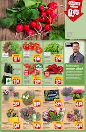 Ähnliche Angebote wie Tomatenpflanze im Prospekt "Dein Markt" auf Seite 7 von REWE in Köln