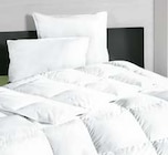 Kopfkissen Angebote bei SB Möbel Boss Haltern am See für 12,99 €