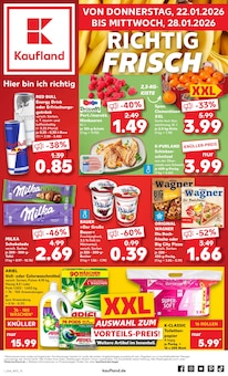 Kaufland Bad Bevensen Prospekt der aktuellen Woche, gültig von 22.01.2026 bis 28.01.2026 Aktueller Kaufland Bad Bevensen Prospekt "Aktuelle Angebote" mit 59 Seiten
