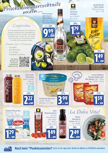 Aktueller EDEKA Hohenwestedt Prospekt "Top Angebote" mit 31 Seiten