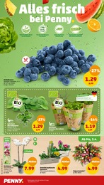Penny-Markt Gartenerde im Prospekt 