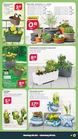 Aktueller Netto mit dem Scottie Prospekt mit Frosch, "Günstig. Besser. Für Dich.", Seite 25