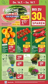 Stauden im ALDI Nord Prospekt in Cuxhaven Aktueller ALDI Nord Prospekt mit Stauden, "Aktuelle Angebote", Seite 26