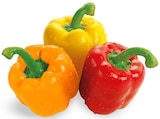 Paprika Mix im Angebot bei REWE in Dachau Paprika Mix Angebote von REWE Beste Wahl bei REWE Dachau für 1,59 €