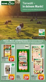 Biofleisch im REWE Prospekt in Münster Aktueller REWE Prospekt mit Biofleisch, "Dein Markt", Seite 11