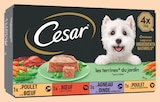 Intermarché Le Mesnil-Au-Val - Promo Barquettes chien les terrines du jardin Promo Barquettes chien les terrines du jardin à 2,41 € dans le catalogue Intermarché à Le Mesnil-Au-Val