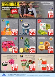 Pflanzen im EDEKA Prospekt in Norderstedt Aktueller EDEKA Prospekt mit Pflanzen, "Top Angebote", Seite 6