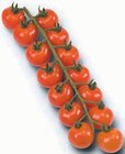 Cherrystrauchtomaten bei Markant Nordwest im Delbrück Prospekt für 2,44 €