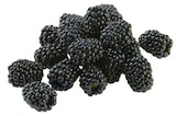 Brombeeren im REWE Prospekt Brombeeren von im aktuellen REWE Prospekt für 1,99 €
