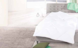 Kuschelsteppbett von fan frankenstolz im aktuellen V-Markt Prospekt für 29,99 €