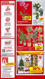 Aktueller toom Baumarkt Prospekt mit Weihnachtsbaum, "Respekt, wer's selber macht.", Seite 2