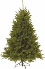 Kunst-Tanne Forest Frosted Pine von  im aktuellen Pflanzen Kölle Prospekt für 119,00 €