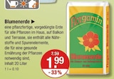 Blumenerde im V-Markt Prospekt Blumenerde von Florgamin im aktuellen V-Markt Prospekt für 1,99 €