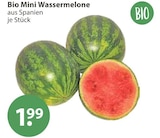 Bio Mini Wassermelone im aktuellen V-Markt Prospekt für 1,99 €