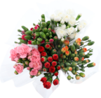 BOUQUET DE 10 MINI OEILLETS - SANS MARQUE dans le catalogue Auchan Supermarché