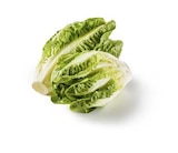 Aktuelles Deutscher Mini Romana Angebot bei Lidl in Frankfurt (Main) ab 1,52 €