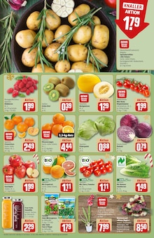 Saft im REWE Prospekt "Dein Markt" mit 34 Seiten (Jena)