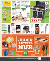 Flachbildfernseher im Marktkauf Prospekt in Erftstadt Aktueller Marktkauf Prospekt mit Flachbildfernseher, "Aktuelle Angebote", Seite 17