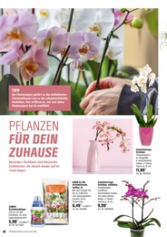 Orchideendünger Angebot im aktuellen OBI Prospekt auf Seite 18