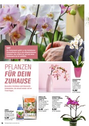 Aktueller OBI Prospekt mit Orchidee, "HALLO FRÜHLING!", Seite 18
