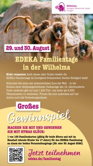 Pflanzen im EDEKA Prospekt "Aktuelle Angebote" mit 67 Seiten (Offenbach (Main))
