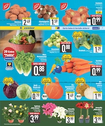 EDEKA Romanasalat im Prospekt EDEKA Romanasalat im Prospekt