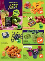 Pflanzen Angebot im aktuellen tegut Prospekt auf Seite 5