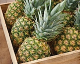 Ananas en promo chez Intermarché Super Ananas dans le catalogue Intermarché Super