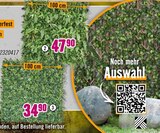 Pflanzenwand „Fire Sky“ im Hornbach Prospekt Pflanzenwand „Fire Sky“ von im aktuellen Hornbach Prospekt für 32,90 €