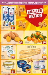 Garten im REWE Prospekt Dein Markt auf S. 6