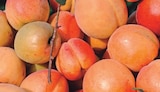 Super U Lyon - Promo Fruitiers scion Promo Fruitiers scion à 12,99 € dans le catalogue Super U à Lyon