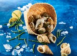 BULOTS CUITS NATURE OU ÉPICÉS - SANS MARQUE - Auchan Supermarché à Villeurbanne BULOTS CUITS NATURE OU ÉPICÉS - SANS MARQUE en promo chez Auchan Supermarché Villeurbanne à 3,50 €