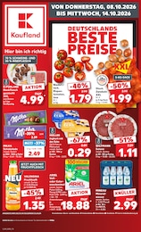 Kaufland Prospekt für Norden mit 70 Seiten Kaufland Prospekt für Norden: "Hier bin ich richtig", 70 Seiten, 08.10.2026 - 14.10.2026