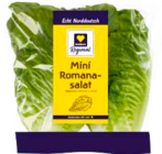Mini Romanasalat im Angebot bei Marktkauf in Hamburg Mini Romanasalat Angebote von EDEKA Regional bei Marktkauf Hamburg für 0,66 €