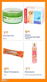 Aktueller Action Prospekt mit Aloe Vera, "Wochenangebote", Seite 22