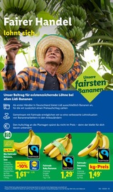 Aktueller Lidl Prospekt mit Bananen, "LIDL LOHNT SICH", Seite 61