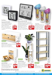 Garten im E center Prospekt in Offenburg Aktueller E center Prospekt mit Garten, "Aktuelle Angebote", Seite 41