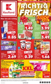 Aktueller Kaufland Supermarkt Prospekt in Wethau und Umgebung, "Aktuelle Angebote" mit 59 Seiten, 22.01.2026 - 28.01.2026