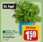 Bio Basilikum Angebote von REWE Bio bei REWE Heinsberg für 1,59 €