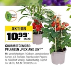 Aktuelle Pflanzen Angebote bei OBI in Koblenz Aktuelles GOURMETGEMÜSE-PFLANZEN „PICK AND JOY“ Angebot bei OBI in Koblenz ab 10,99 €