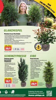 Heckenpflanzen im Thomas Philipps Prospekt "Top Angebote" mit 18 Seiten (Hamburg)